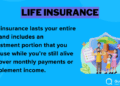 Best Life Insurance for Expats in 2025 (Top 10 Companies) | QuickQuote.com