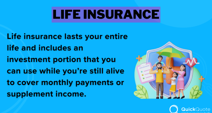 Best Life Insurance for Expats in 2025 (Top 10 Companies) | QuickQuote.com